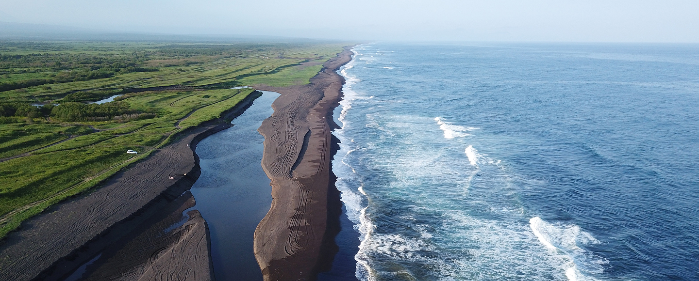БАЗА СТИЛХЕД